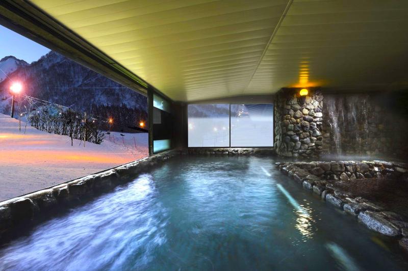 Hotel Green Plaza Hakuba - image 39