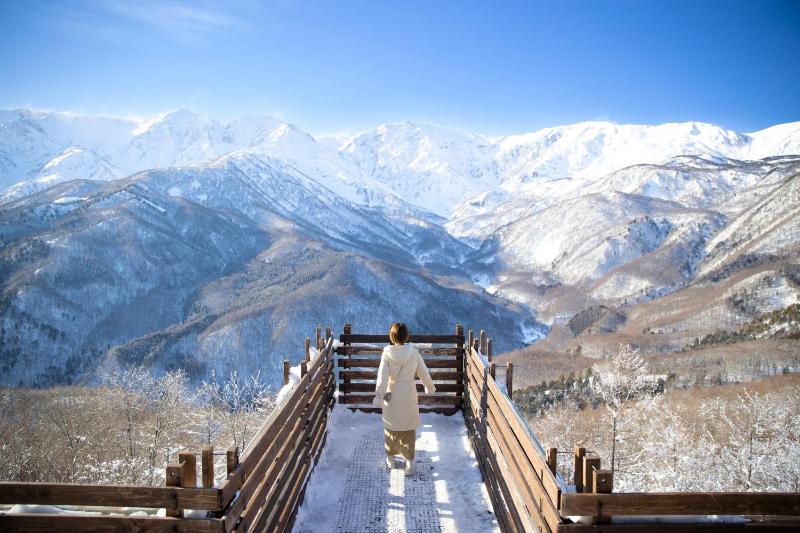 Hotel Green Plaza Hakuba - image 18