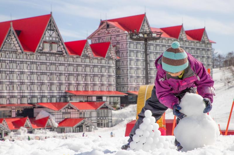 Hotel Green Plaza Hakuba - image 31