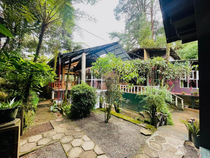 King Fern Cottage - image 8