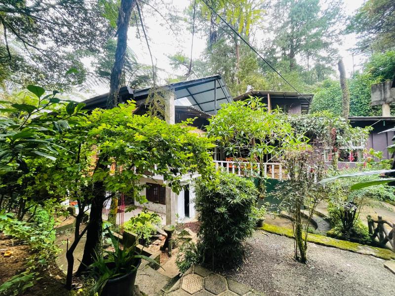 King Fern Cottage - image 12