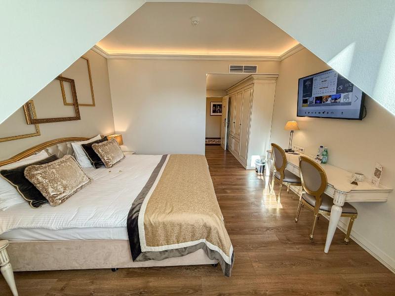 Superior Double Room image 4