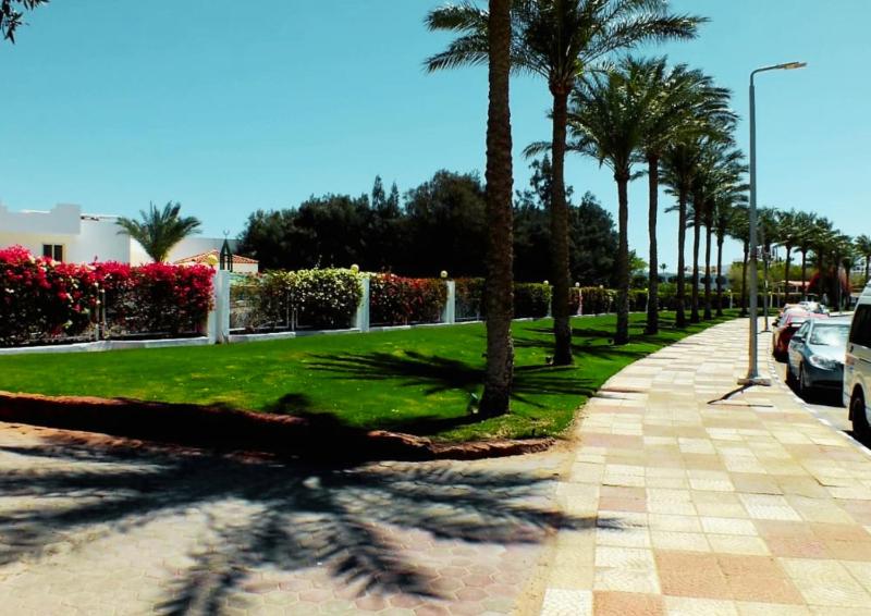 Luxury Sharm Hills Resort - image 6