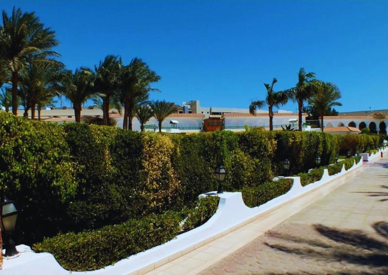 Luxury Sharm Hills Resort - image 26