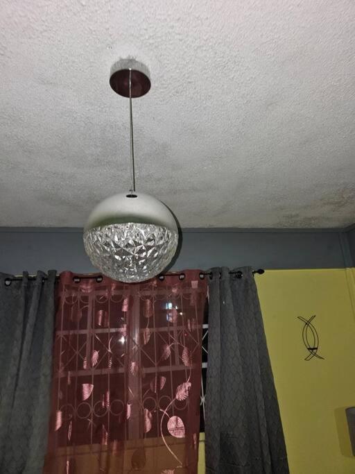 Alexander's Place - image 8