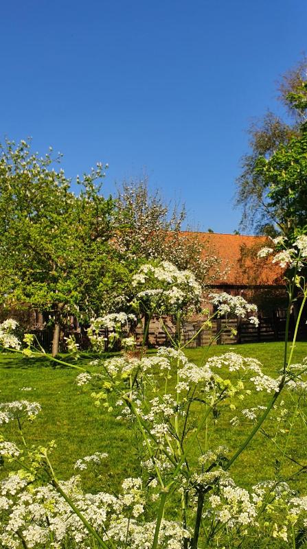 Appartement - Zon image 1