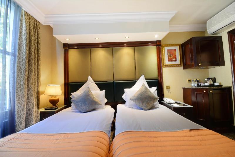 Deluxe Twin Room image 2