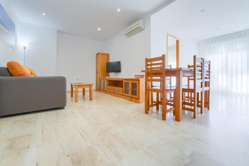 Apartment with Terrace image 4