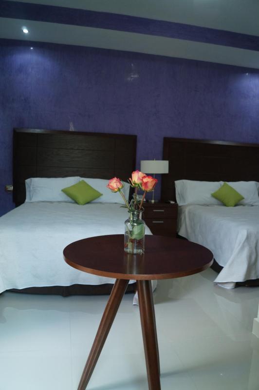 Hotel Casa Palomino - image 11