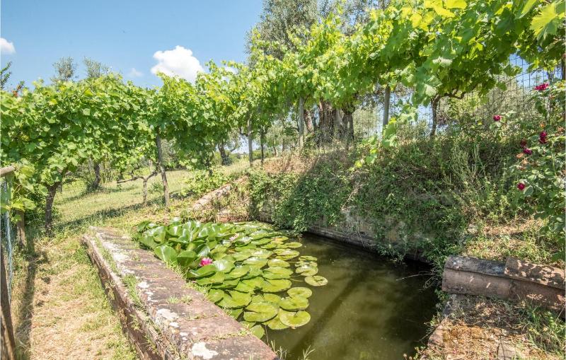 Casa Alfredo - image 11