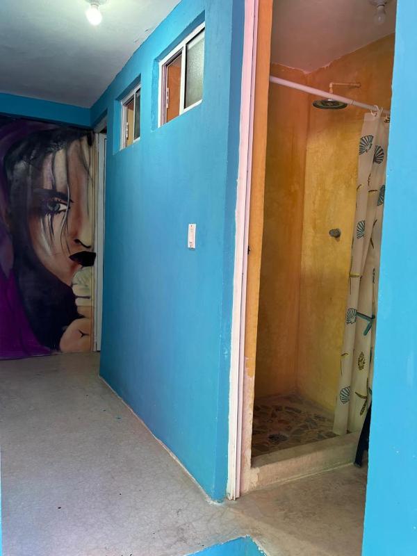 Peace Hostel MX - image 43