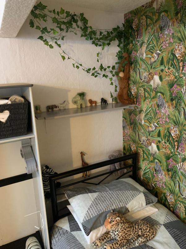 Standard Family Room image 2