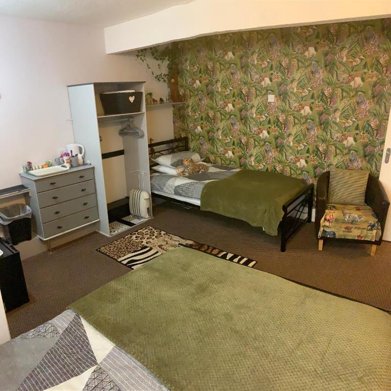 Standard Family Room image 4