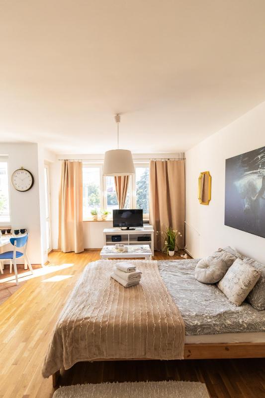 Studio Apartment image 3