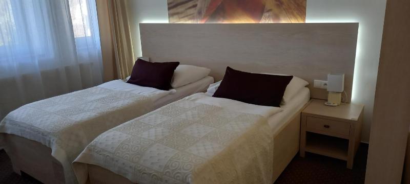 Large Twin Room image 2