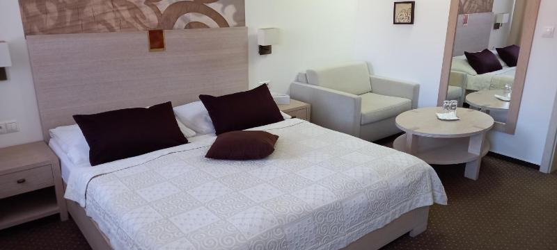 Standard Double Room image 3