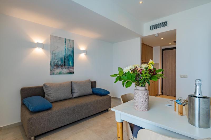 One Bedroom Suite  image 4