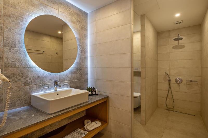 One Bedroom Suite  image 3