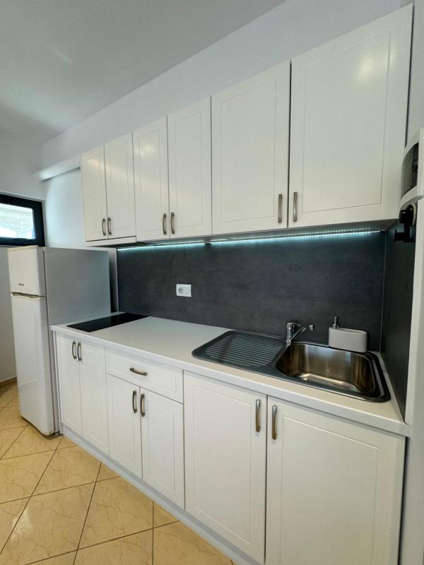 One-Bedroom Apartment image 4