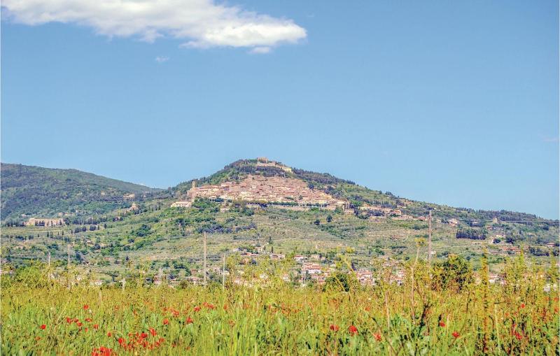 La Torretta - image 7