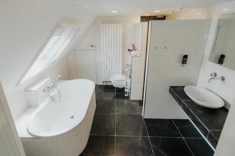 Deluxe King Suite image 4