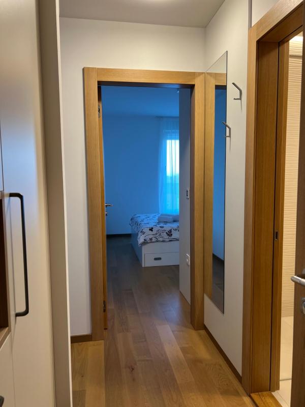Diagonala-3 - image 5