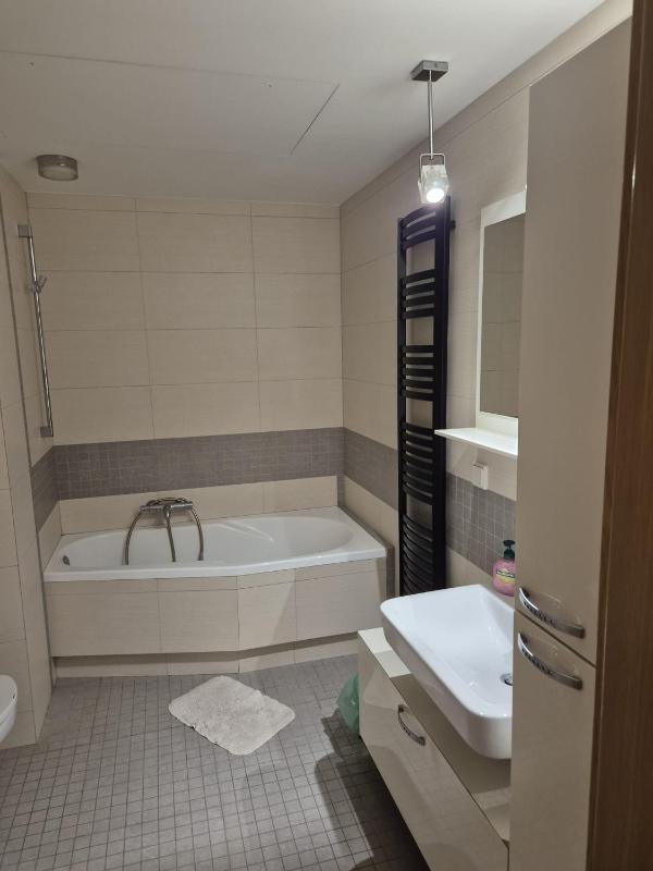 Two-Bedroom Apartment image 4