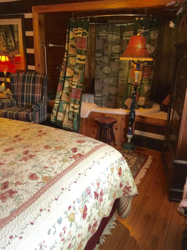 Deluxe King Room image 2