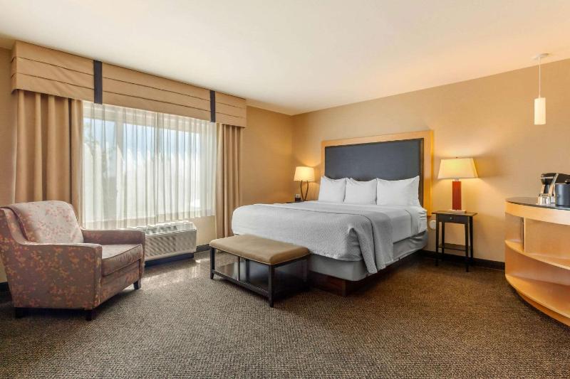 King Suite with Two Person Sofa Bed image 3