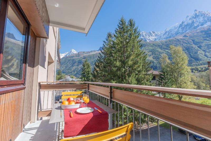 Appartement lumineux à Chamonix avec vue imprenable sur Mont Blanc et parking - image 16