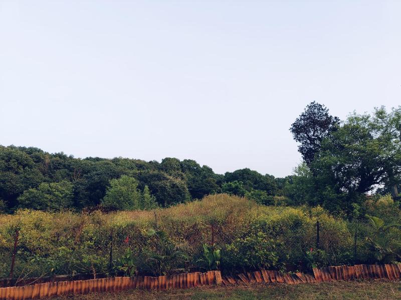 LaForesta By Mahabaleshwar Stay - image 17