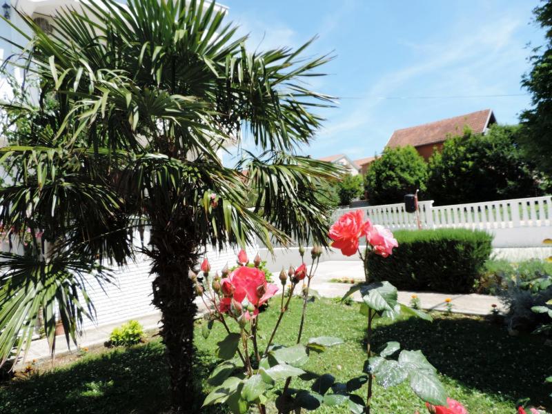 Apartment Stipe - image 12