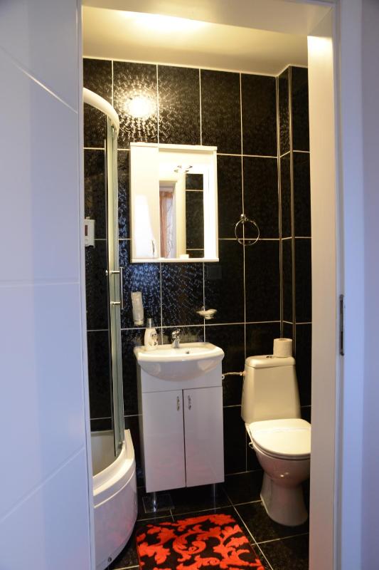 Triple Room with City View image 4