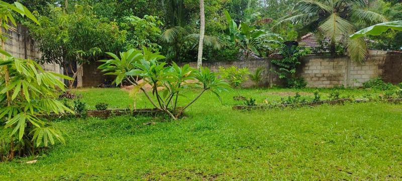 Eco Nature Mulia Private villa - image 10