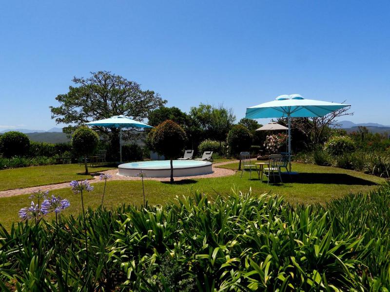 The Blue Crane - image 14