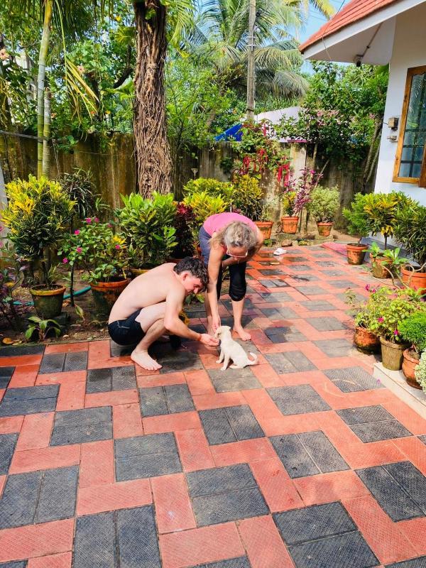 Palliyathayil home stay - image 9
