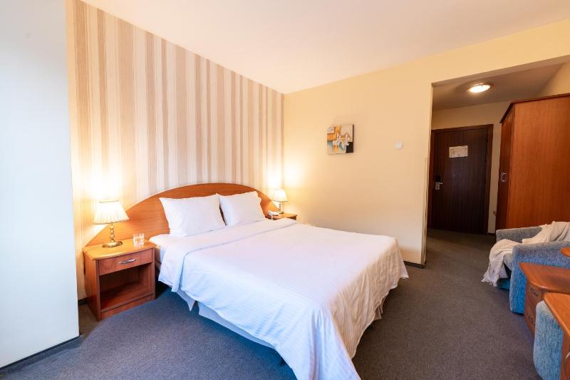Double Room with Spa Access image 4