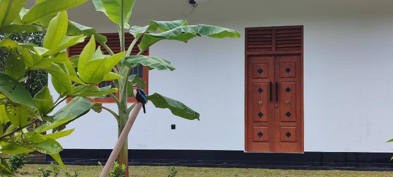 Eco Nature Mulia Private villa - image 14