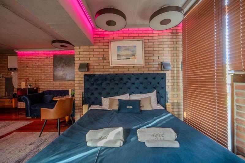 Superior Apartment with Sauna image 3