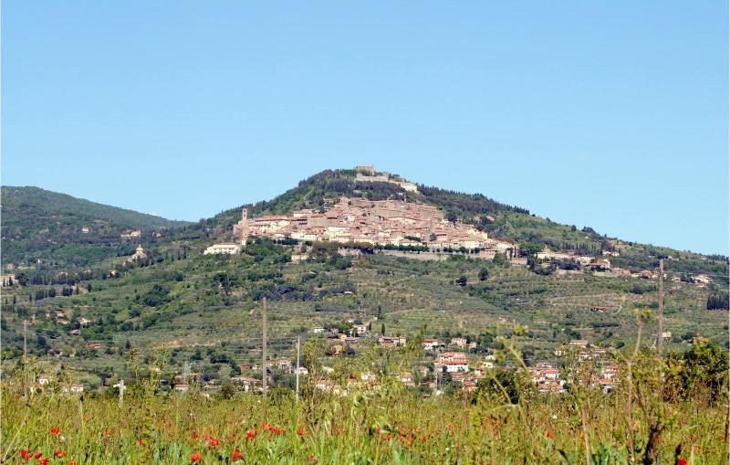 Bellavista - image 10