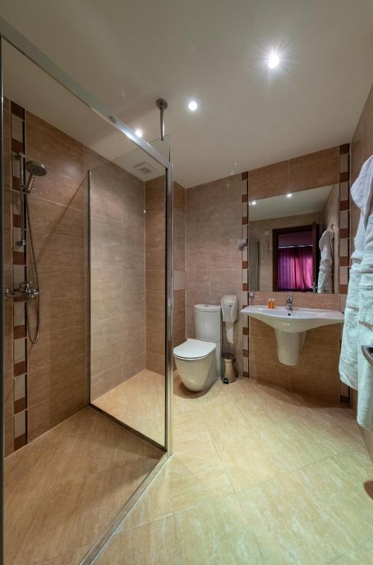 Deluxe Double Room image 3