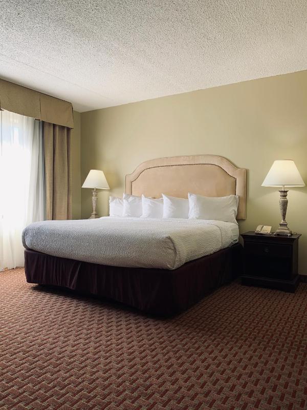 King Suite with Sofa Bed image 2