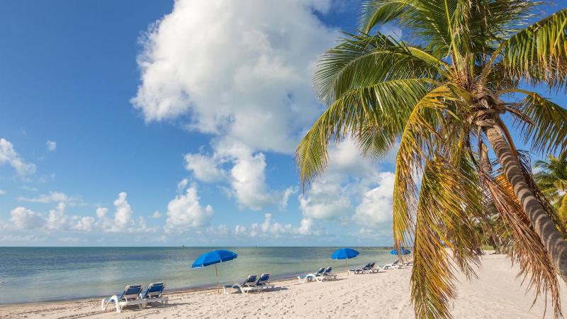 Driftwood Dreams by Last Key Realty - image 3