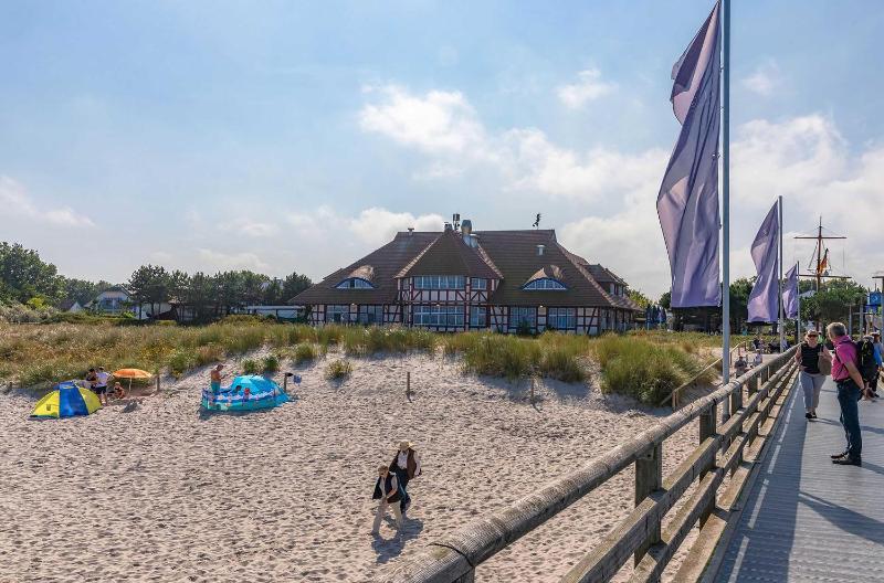 Strandrose an der Seebrücke Zingst - image 16