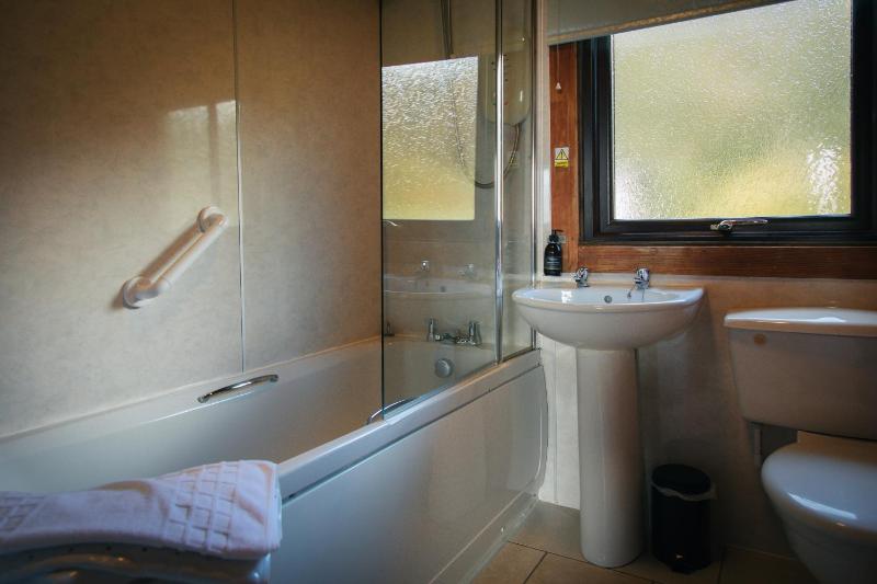Two-Bedroom Apartment image 4