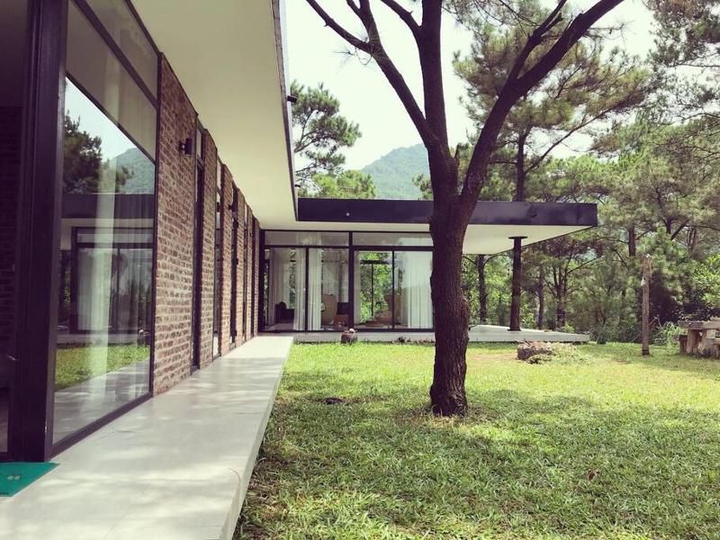 Sapavilion - image 1