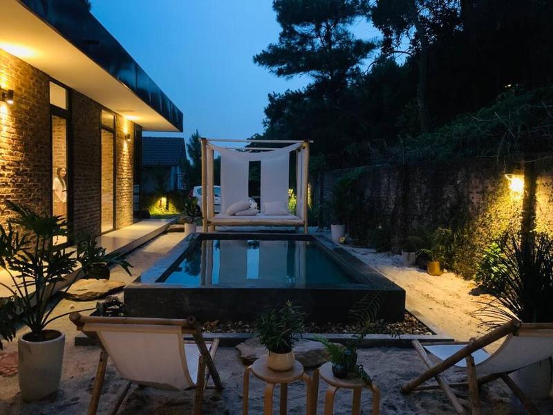 Sapavilion - image 6