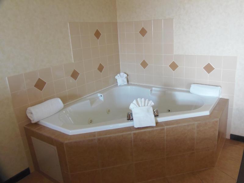 Rosslyn Inn & Suites - image 18