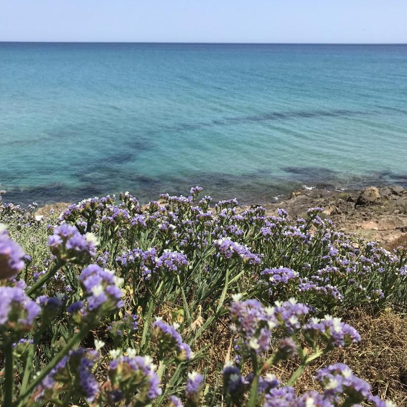 CasapiuHolidaySicilia - Adults Only - image 32