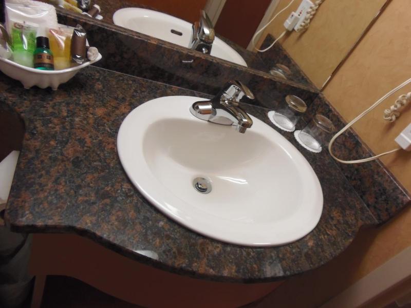 Rosslyn Inn & Suites - image 15